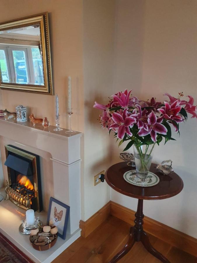 The Croft Guest House Narberth Buitenkant foto